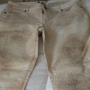 Jennifer Lopez Jeans